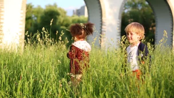 Chilldren entre hierba verde — Vídeos de Stock