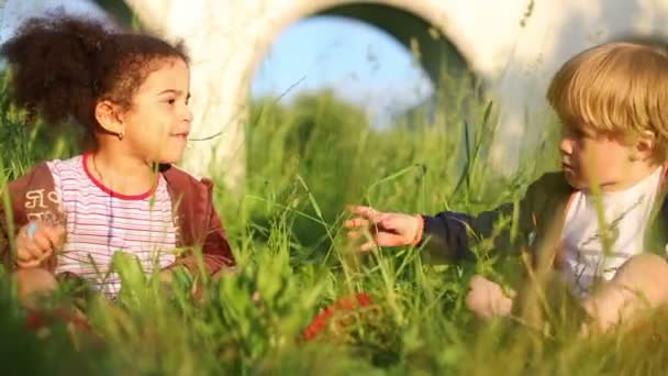 Chilldren entre grama verde — Vídeo de Stock