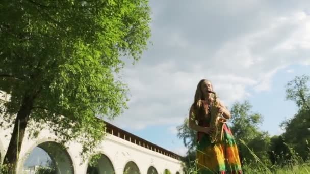 Girl standing among grass — Stock Video