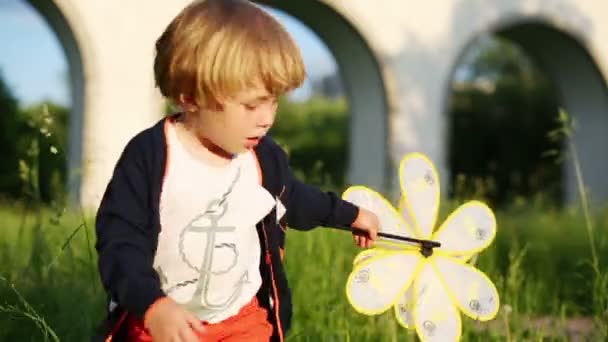 Les enfants parmi l'herbe verte — Video