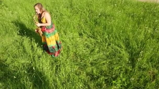 Menina de pé entre grama — Vídeo de Stock