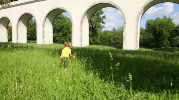 Niño mira mariposas blancas — Vídeo de stock