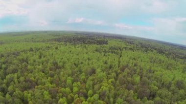 Park ve şehir panoraması