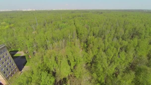 Большой парк с городским пейзажем — стоковое видео