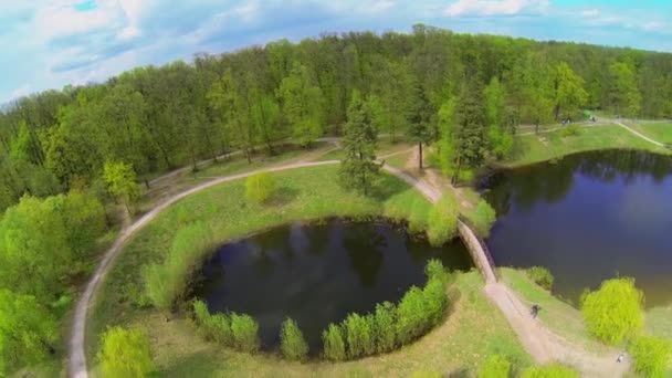 Floresta em torno da lagoa perto da cidade — Vídeo de Stock