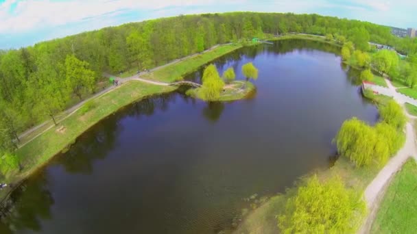 Árboles con follaje verde alrededor del estanque — Vídeos de Stock