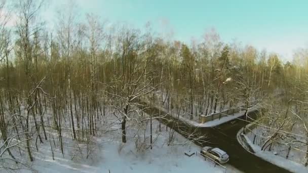 Voiture se tient au bord de la route — Video