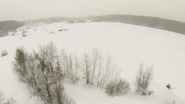 Bosque en la orilla del estanque cubierto de nieve — Vídeos de Stock