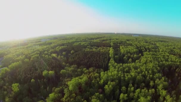 Plantation de arbres d'échecs — Video