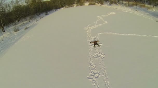 Žena v kožichu leží na sněhu — Stock video