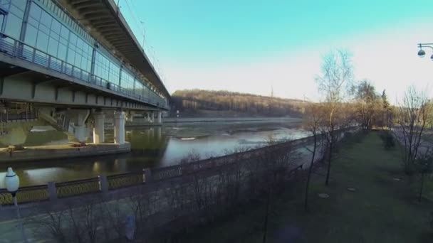 Plants on river quay — Stock Video