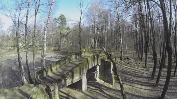 Ponte abandonada na floresta — Vídeo de Stock