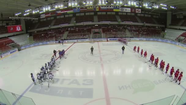 Des équipes alignées sur la glace — Video