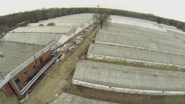 Farma s dlouhou skleníky — Stock video