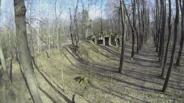 Ruines anciennes dans le parc — Video