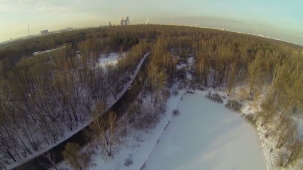 Weg tussen bomen — Stockvideo