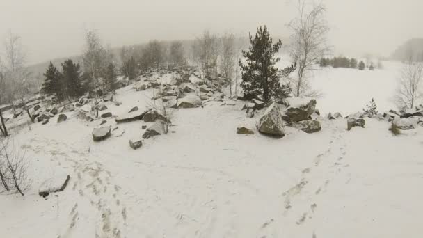 冬に雪で覆われた島 — ストック動画