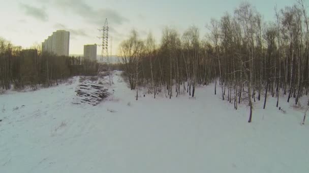 Maisons au milieu des arbres et coucher de soleil — Video