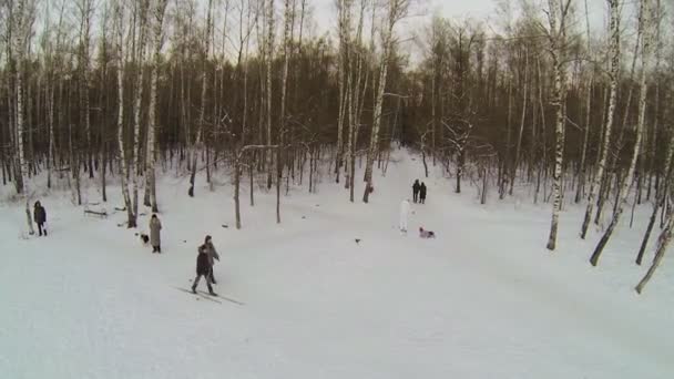 Människor skidor i insnöade park — Stockvideo