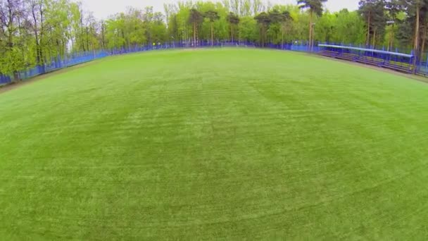 Veld voor rugby in park — Stockvideo