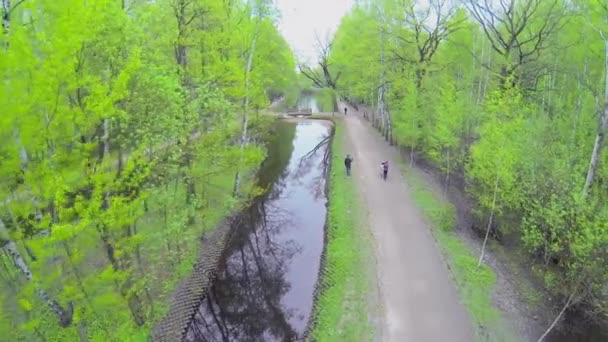 As pessoas caminham pelo beco — Vídeo de Stock