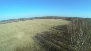 Yol kenarında alanı ormandaki