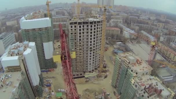 Several cranes work on building site — Stock Video