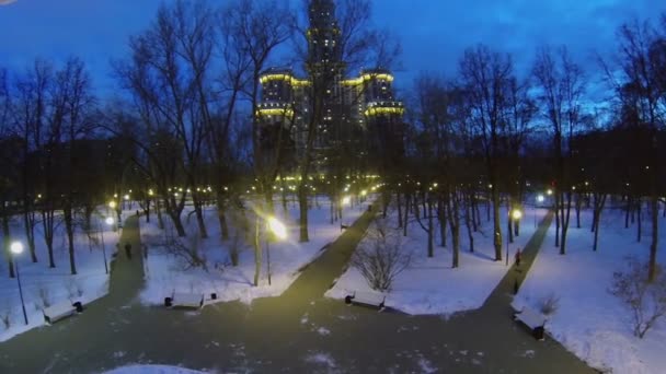 Mensen lopen door steegjes in park — Stockvideo