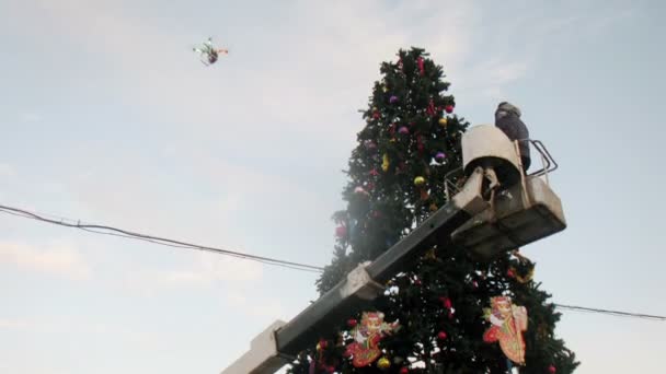 Worker adorns christmas tree — Stock Video