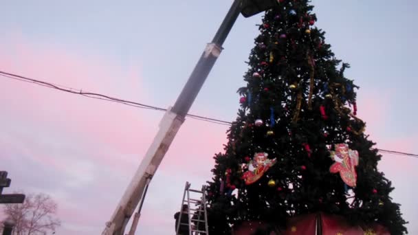Рабочие украшают елку — стоковое видео