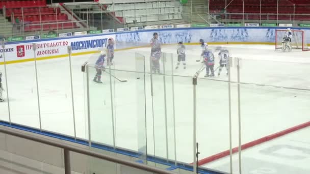 Partita tra squadre di hockey — Video Stock