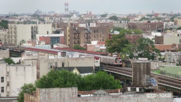 El tren llega a la estación — Vídeo de stock