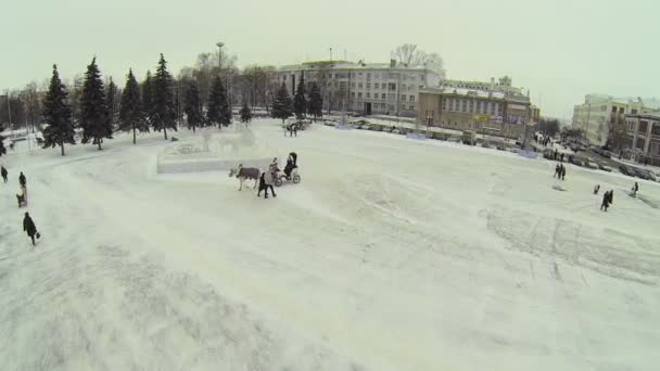 Horsed carriage ride — Stock Video