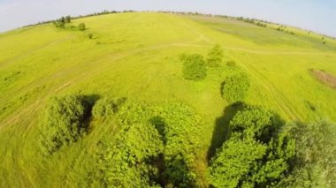 Büyük köyü yakınlarında otlatma