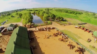 İnsanlar tarafından muhafaza atlar için yürüyüş 