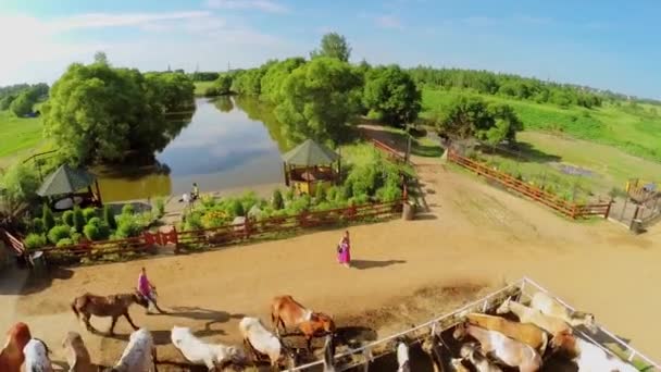 As pessoas caminham entre cavalos em paddock — Vídeo de Stock