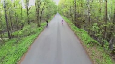 Little girl ride on rollerskates