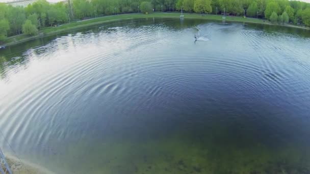 Surfer rides by pond — Wideo stockowe