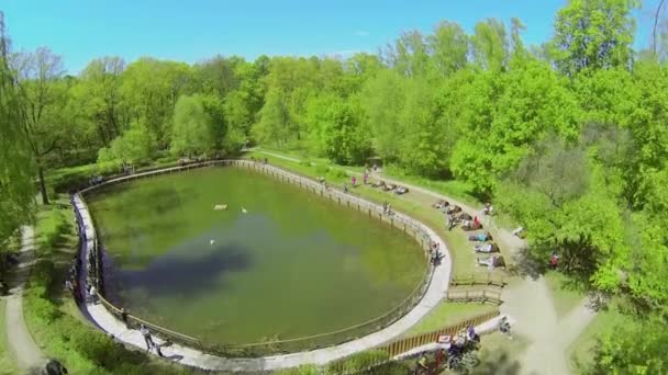 Lagoa Sobachii no parque — Vídeo de Stock