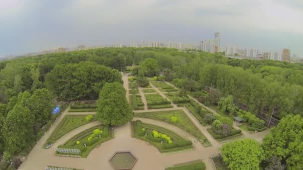 Parque con jardín de rosas — Vídeos de Stock