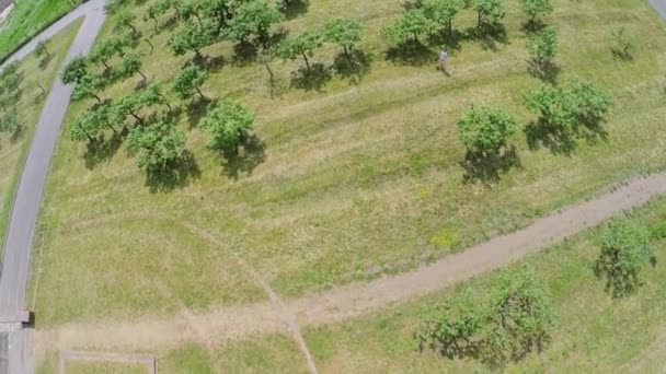 jardin public au printemps ensoleillé 