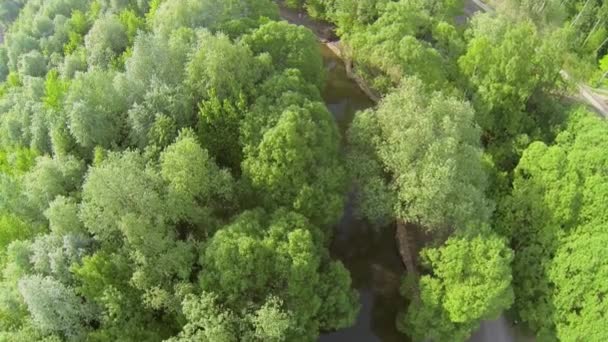 Parque Nacional en Elk Island — Vídeo de stock