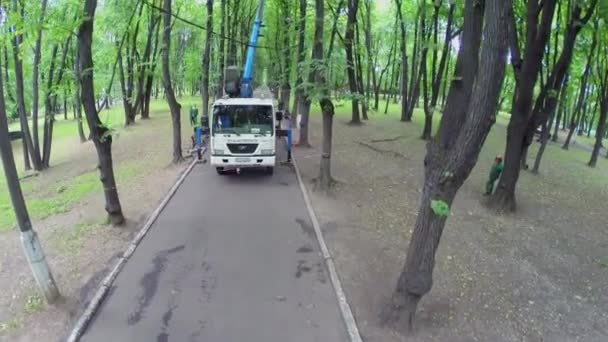 Travail de service de parc avec chariot élévateur — Video