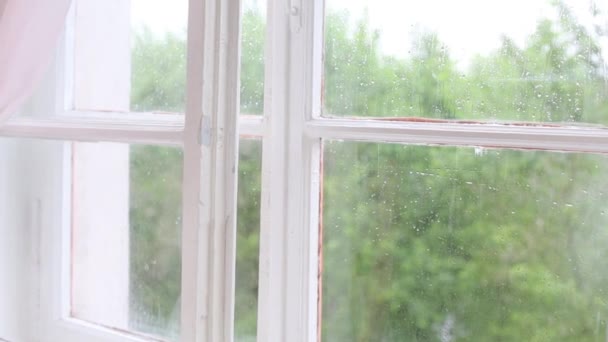 Beautiful sad girl in white dress looks in window and speaks — Stock Video