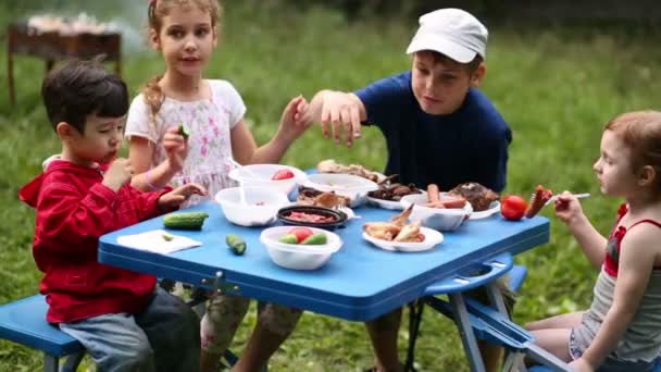 Cuatro niños en el picnic — Vídeo de stock