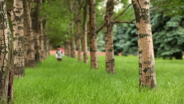 Little boy  runs between trees — Stock Video