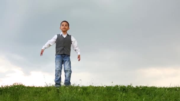Boy  on green meadow — Stock Video