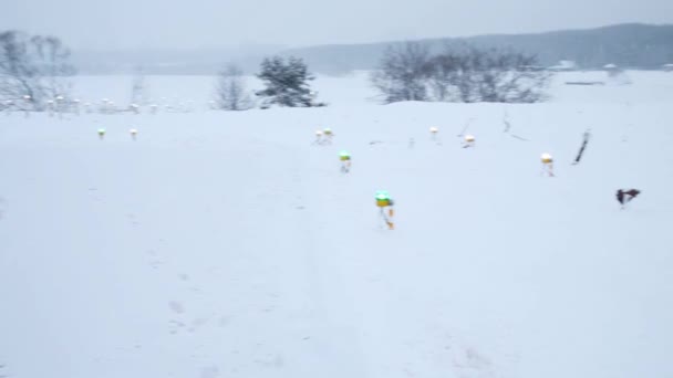 Snow-covered helipad marked up with signal lights — Stock Video