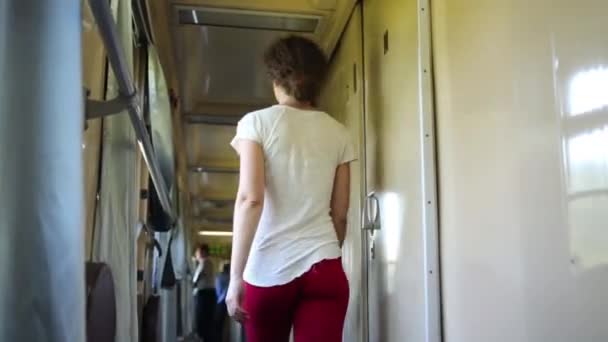 Woman in  train carriage — Stock Video