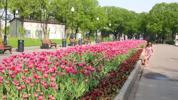 Niñas jugar cerca de grandes macizos de flores — Vídeo de stock